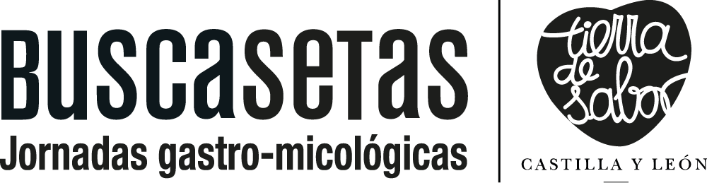 Buscasetas